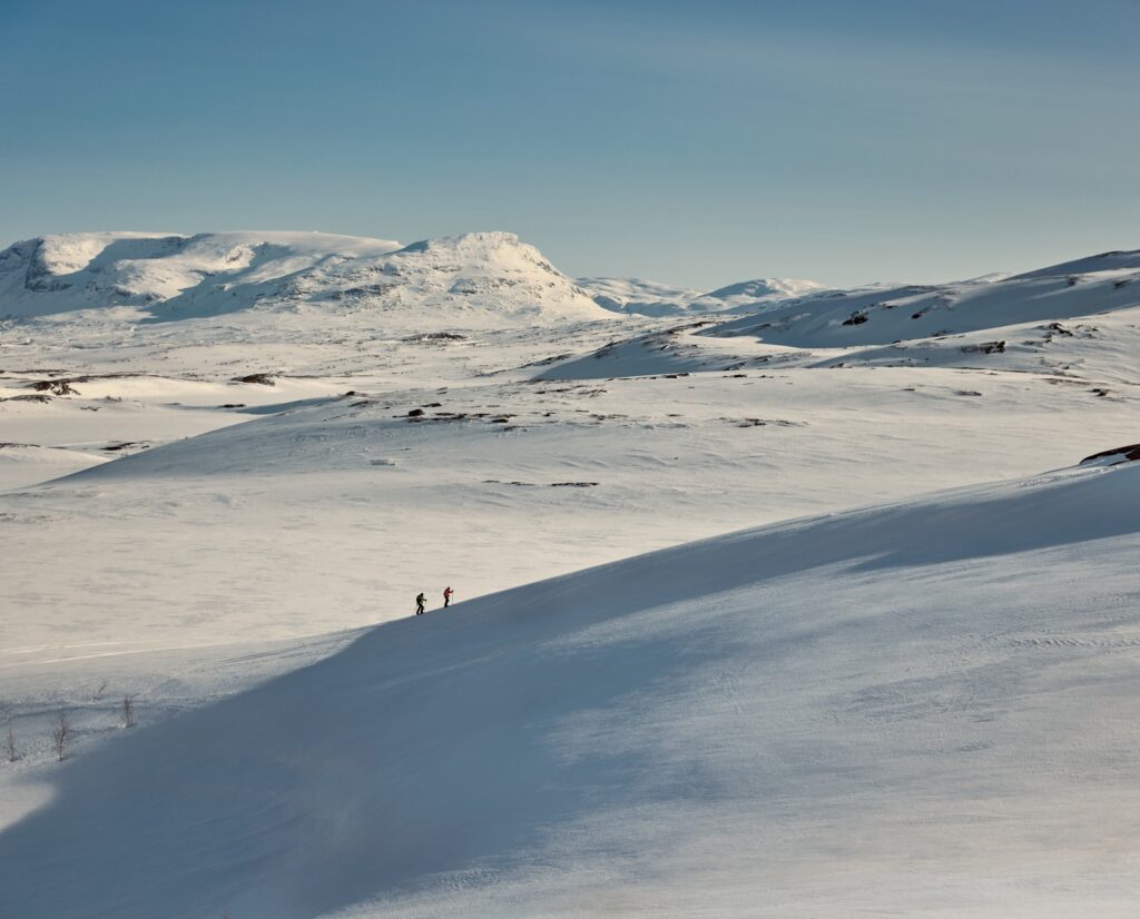 Winter landscape