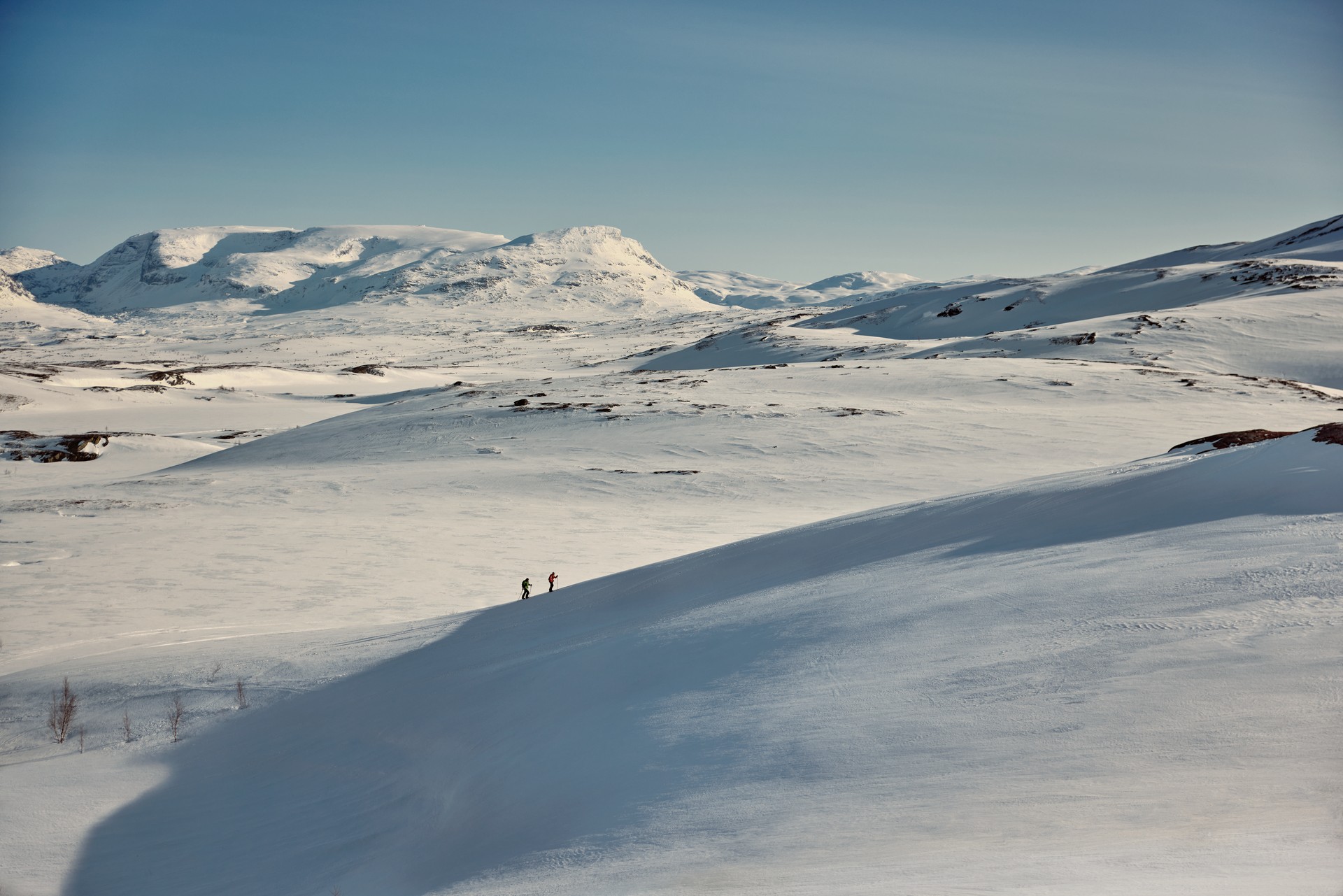 Winter landscape